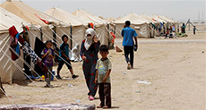 UNHCR: Daesh Captures 3000+ Iraqis Fleeing Besieged Villages