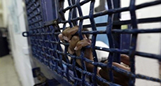 300 Palestinian Detainees on Mass Hunger Strike