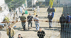 Palestinian Hunger-strikers’ Health Deteriorating 