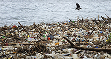 22-Year-Old Dutchman Plans to Clean Up World Ocean