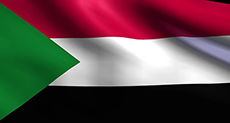 Sudan to Declare ’End to Darfur Conflict’