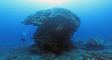 Taiwan’s Famous «Big Mushroom» Dive Site Toppled by Typhoon
