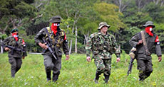 Colombia: Army Op Kills ELN Rebel 10 Days from Peace Talks 