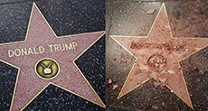 Trump’s Hollywood Star Vandalized