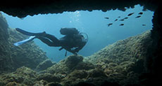 Diver Survives 8 Hours in Shark-Infested Waters!