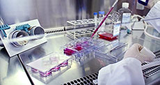 Researchers Achieve Know-how for Anti-cancer Drug