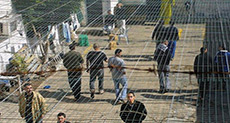 Pro-Palestine Sit-Ins Due in Dozen Countries