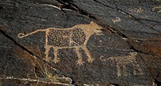 World’s Oldest Rock Drawings Deciphered in Iran