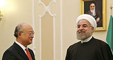 Amano Meets Rouhnai, Hails Iran’s Commitment to Nuclear Deal