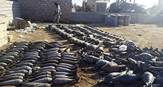 Aleppo Arms Finds Expose CIA Arms Trades for Daesh