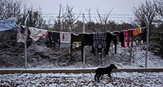 Cold Increasing Death Toll in Europe