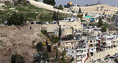 Trump Surprises ’Israel’: Stop Building New Settlements