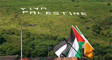 Ireland to Recognize Palestine Soon, Warns «Israel’s» AMB