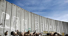 Trump Says Walls Work: Just Ask «Israel»