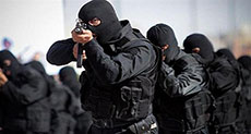 Daesh Elements Arrested in Vicinity of Tehran