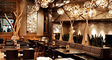 Italian Resto Offers 5% Discount to Families with Disciplined Children