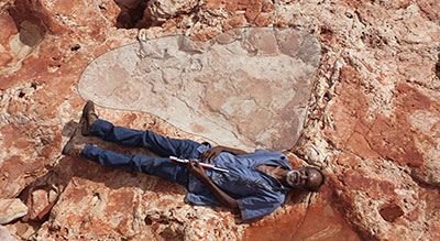 Biggest Dinosaur Footprints Ever Seen Discovered in Australia