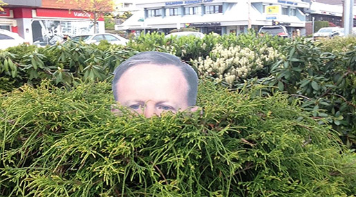 Canadian Woman’s Spicer Cutout in Bush Goes Viral!