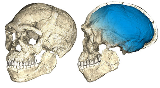 Oldest Ever Human Fossil Unearthed in Morocco