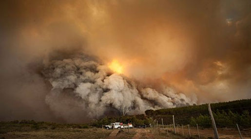 Scores Evacuated in S Africa as Storm Fans Fires