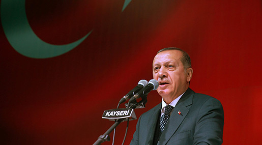Erdogan Vows to Fully Support Doha amid Qatar Row