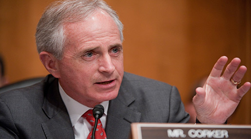Top Senator to Block US Arms Sales to Gulf