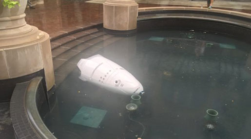 Did This Robot Commit Suicide?