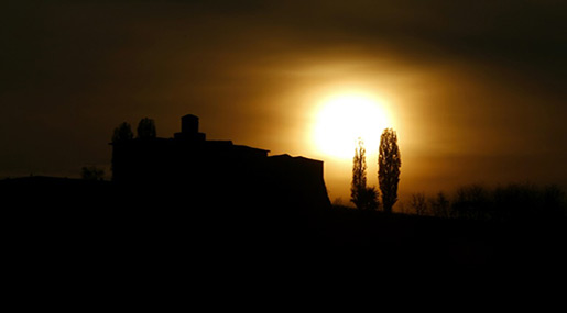 Climate Report: 2016 Was Hottest Year on Record