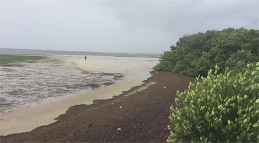 Irma: Hurricane Sucks Sea from Florida Beach