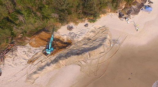 Whale Carcass Dug Up from Australian Beach over Shark Fears