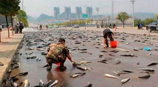 In Northern Mexico, Sky Rained Water and Fish!