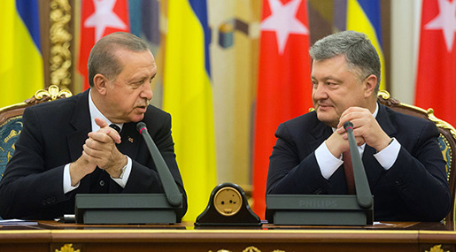 Turkish President Naps at Live Conference with Ukrainian Counterpart