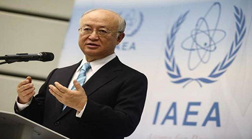 IAEA Chief Reaffirms Iran’s Commitment to JCPOA
