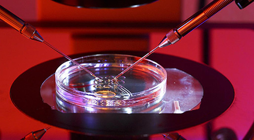 Gene Editing Breakthrough Could Destroy Deadliest Diseases