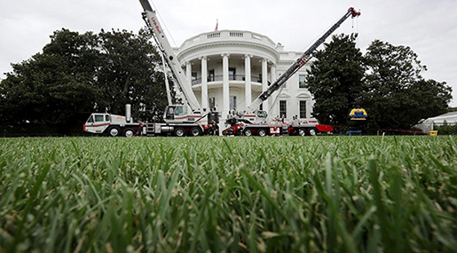 Trump Spends $1.75m on White House Renovations