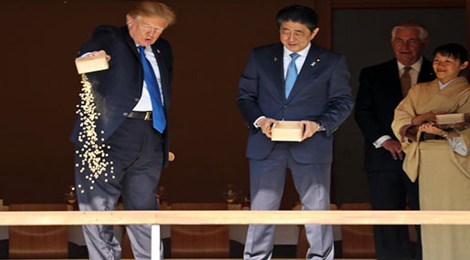 Trump Throws Entire Box of Fish Food into Precious Koi Carp Pond!