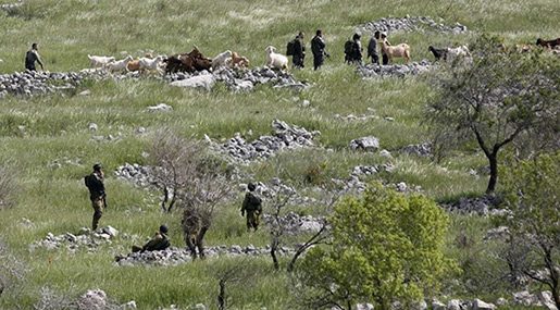 «Israel» Okays Exportation of Palestinian Land