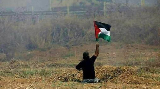 Palestinian Amputee Martyrdom by IOF Provokes Uproar on Social Media