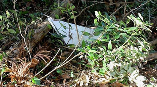 Mysterious Object Falls from the Sky in Japan, Spooks Locals