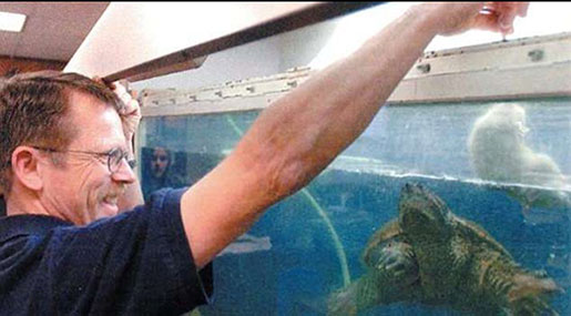 US Teacher Faces 6 Months in Jail for Feeding Live Puppy to Turtle In Front of Students