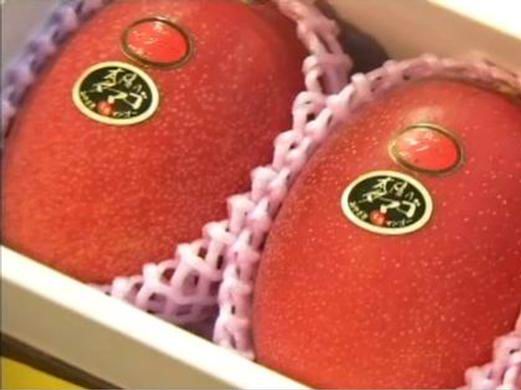 Taiyo no Tamago Mangoes