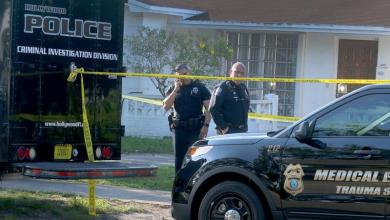 US Toddler Accidentally Shoots Baby Boy Dead