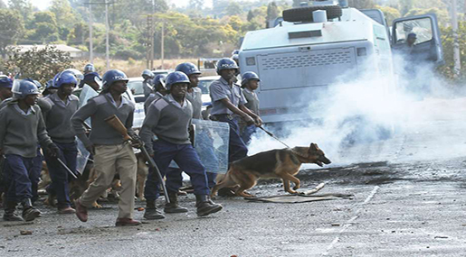 zimbabwe police