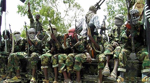Dozens of Boko Haram Terrorists Surrender in Southern Niger