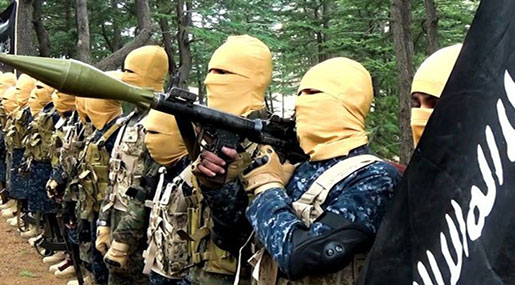 Politicians Are To Blame for Terrorist Attacks by Not Eliminating Daesh