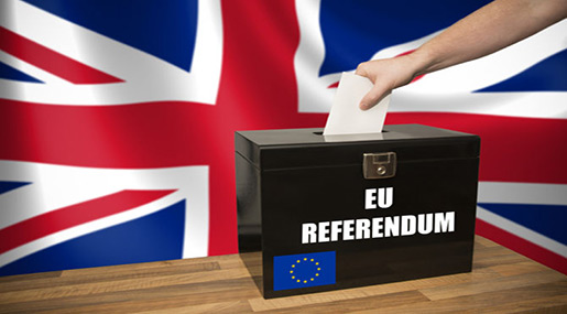 UK Votes on the EU in Historic Referendum
