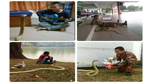 Malaysian Fireman Abu Zarin Hussin