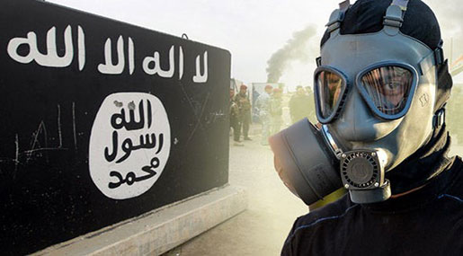 OPCW: Daesh Likely Produced Mustard Gas Used in Syria, Iraq Attacks 