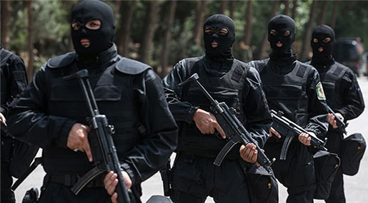 iran forces