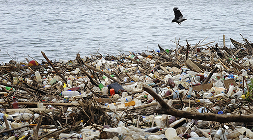 22-Year-Old Dutchman Plans to Clean Up World Ocean 22-Year-Old Dutchman Plans to Clean Up World Ocean
